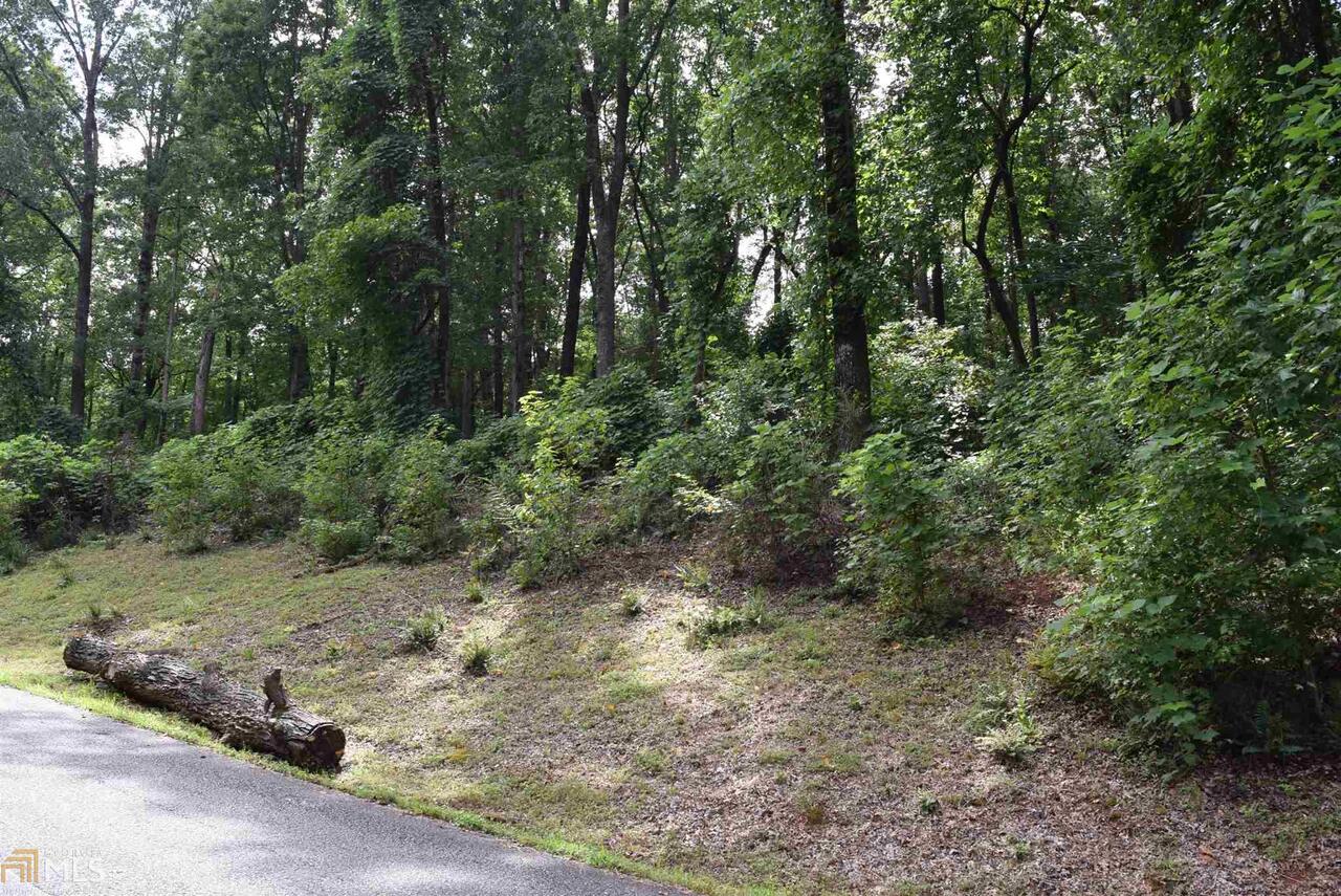 0 Jonney Thomas Road, Unit 16 Cleveland, GA 30528 - Photo 1 of 1 Gallery Image 1
