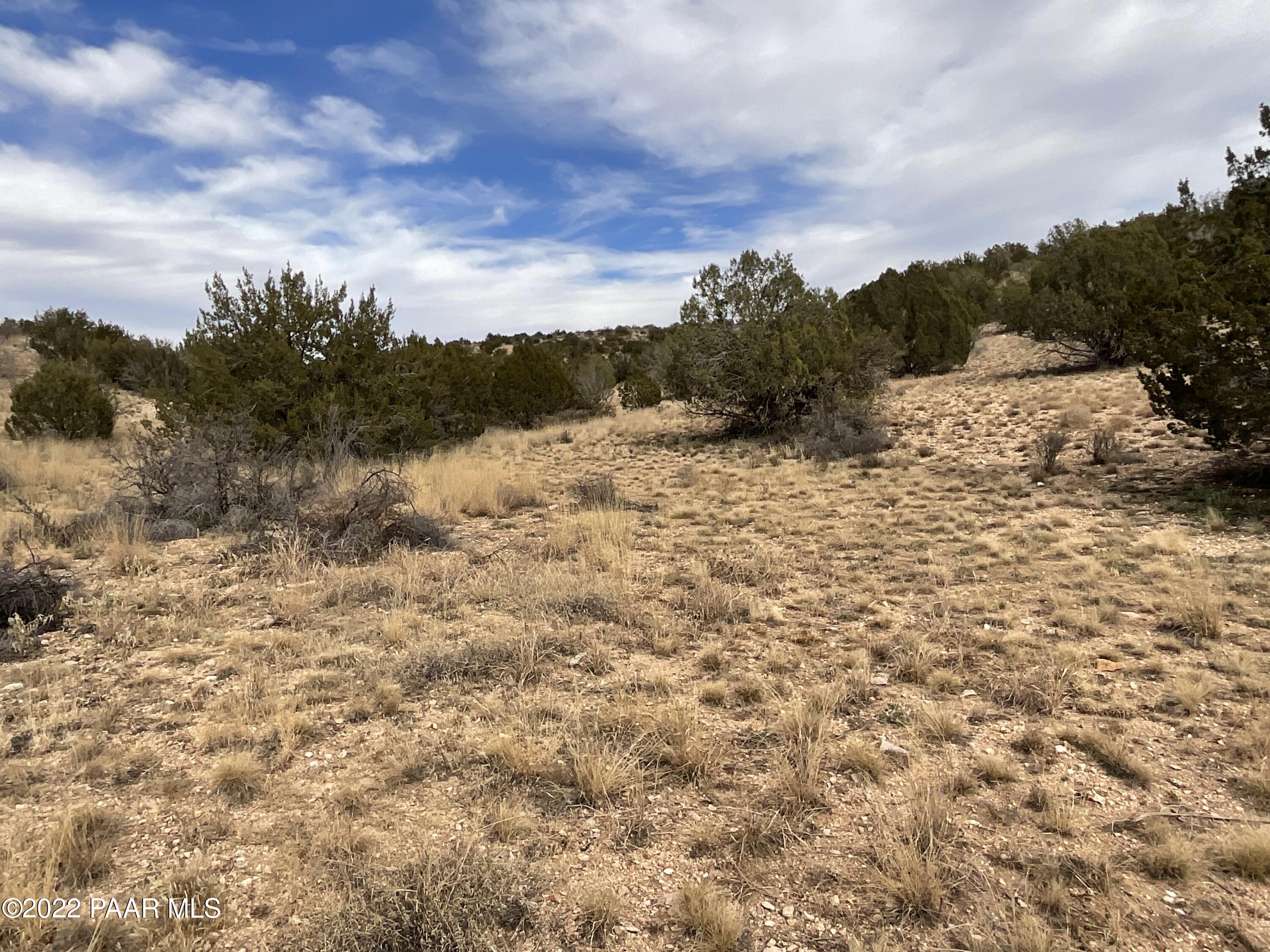 Tbd East Prescott Ranch Road Paulden, AZ 86334 - Photo 13 of 19 IMG_1006