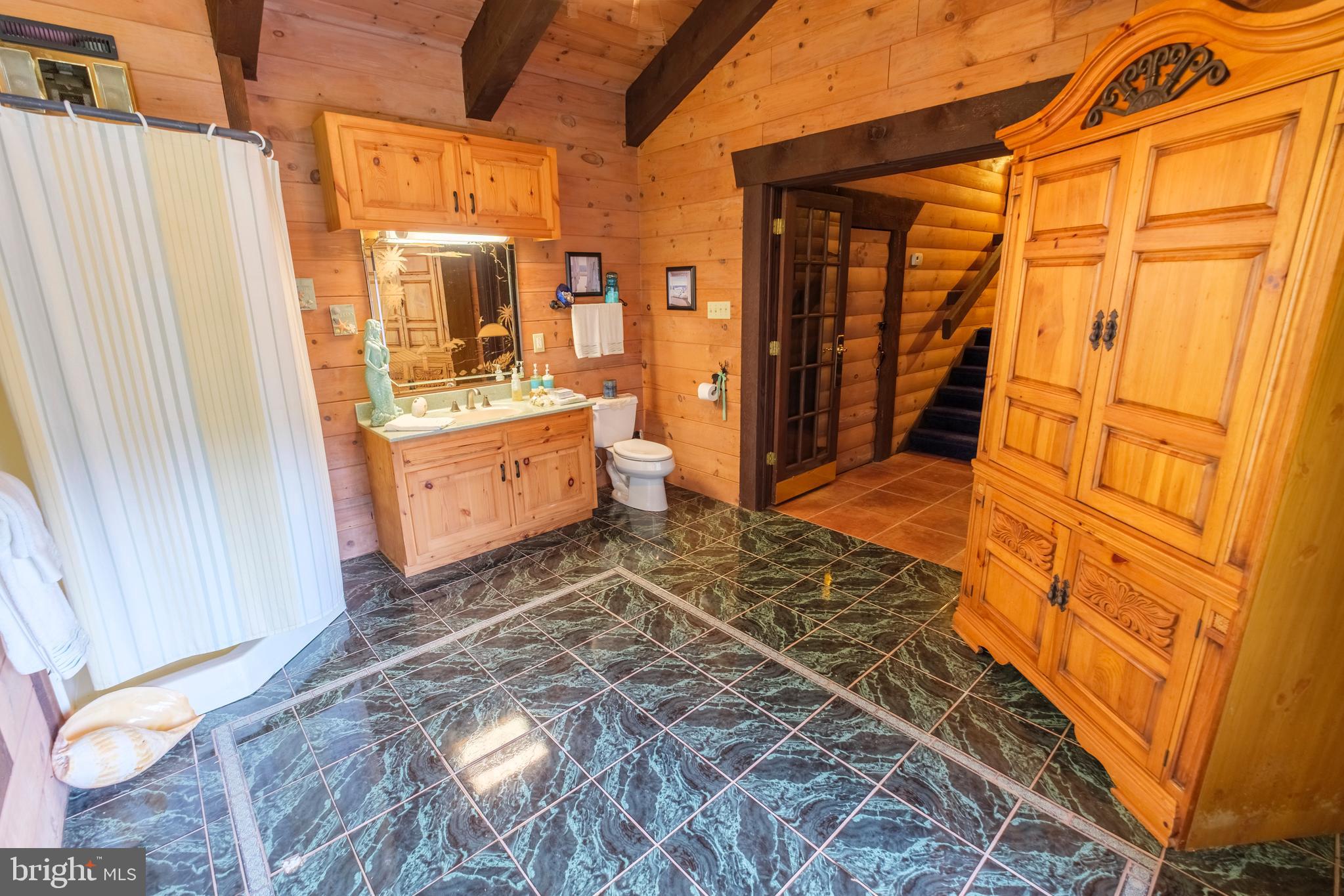 1595 Indian Springs Road Frenchville, PA 16836 - Photo 42 of 86 a bathroom with a sink a toilet and shower