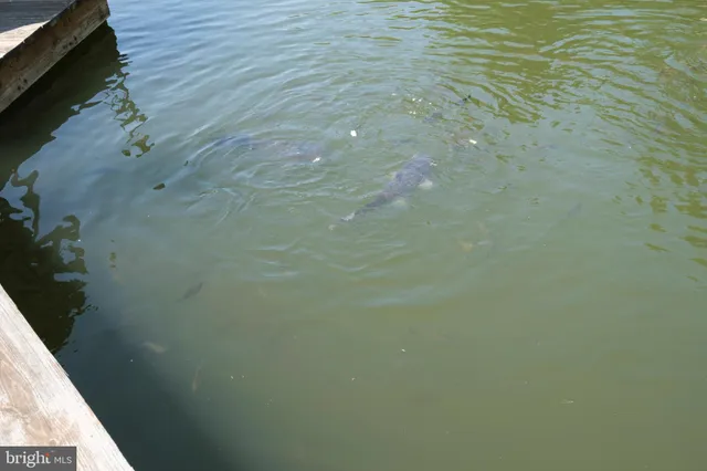 $999,900 | 1595 Indian Springs Road, Frenchville, PA 16836