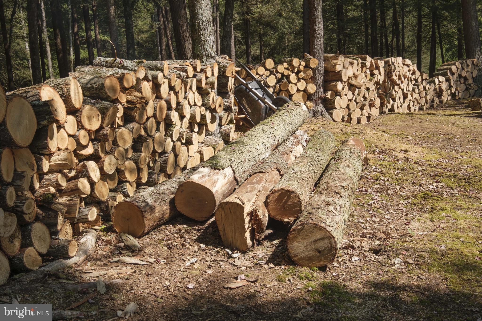 1595 Indian Springs Road Frenchville, PA 16836 - Photo 84 of 86