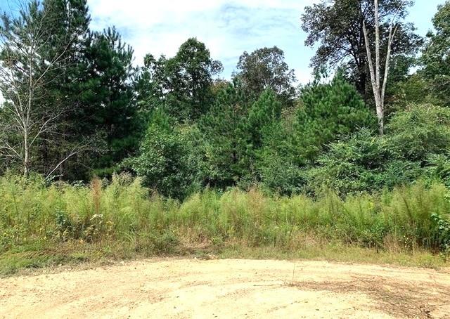 0 Fruit Farm Road Summerville, GA 30747 - Photo 3 of 4 a view of a yard