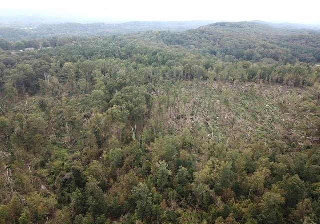0 Fruit Farm Road Summerville, GA 30747 - Photo 4 of 4 a view of a forest with trees in the background