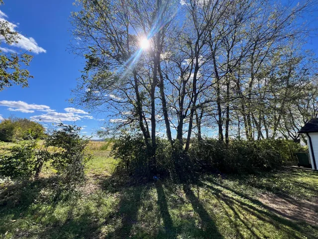 a view of backyard with green space