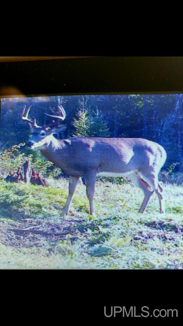 Tbd Vega Road Hermansville, MI 49847 - Photo 18 of 19