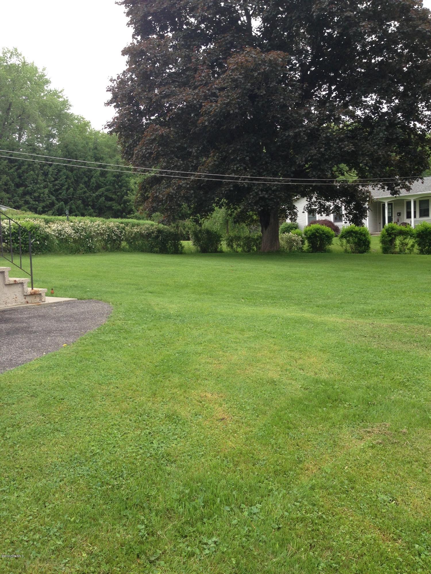 288 Benedict Road Pittsfield, MA 01201 - Photo 14 of 15 Rear yard