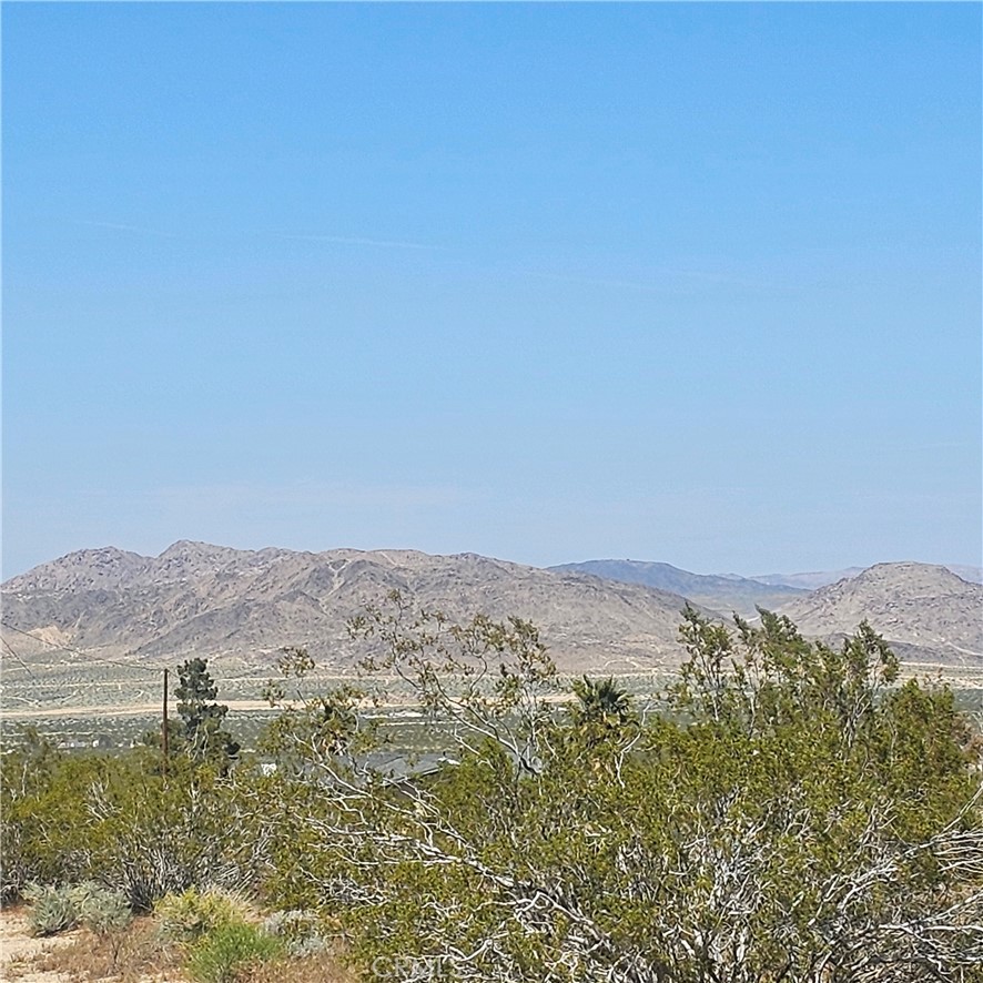 4852 Rock Corral Road Johnson Valley, CA 92285 - Photo 5 of 9