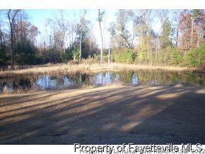 9248 East Reeves Bridge Road Linden, NC 28356 - Photo 4 of 12 Gallery Image 4