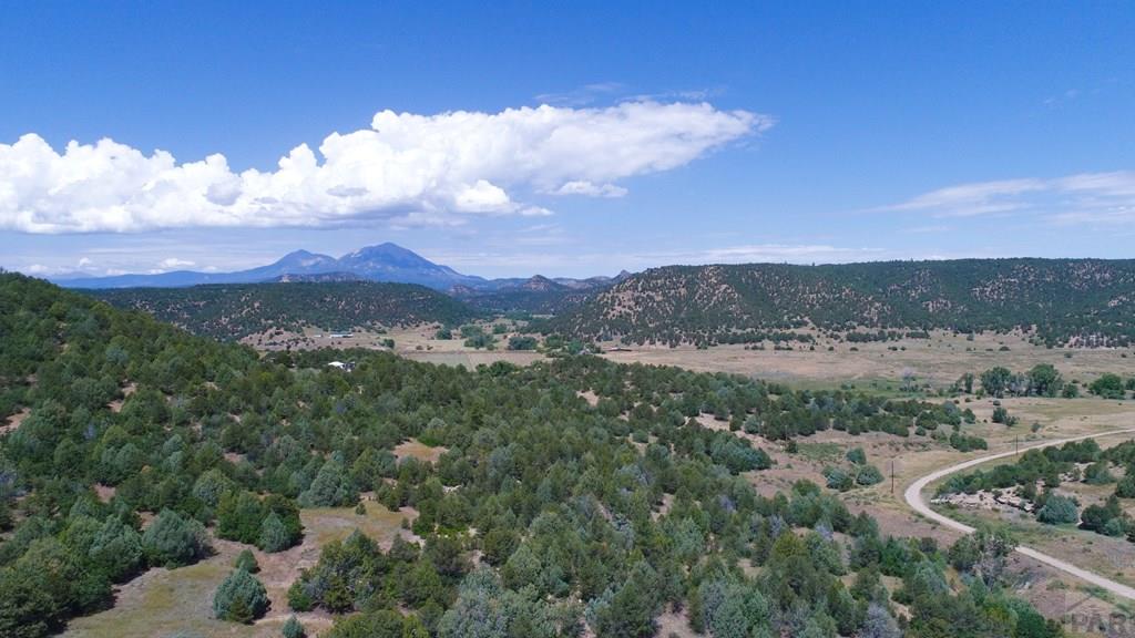 25850 River Pines Road Aguilar, CO 81020 - Photo 57 of 64