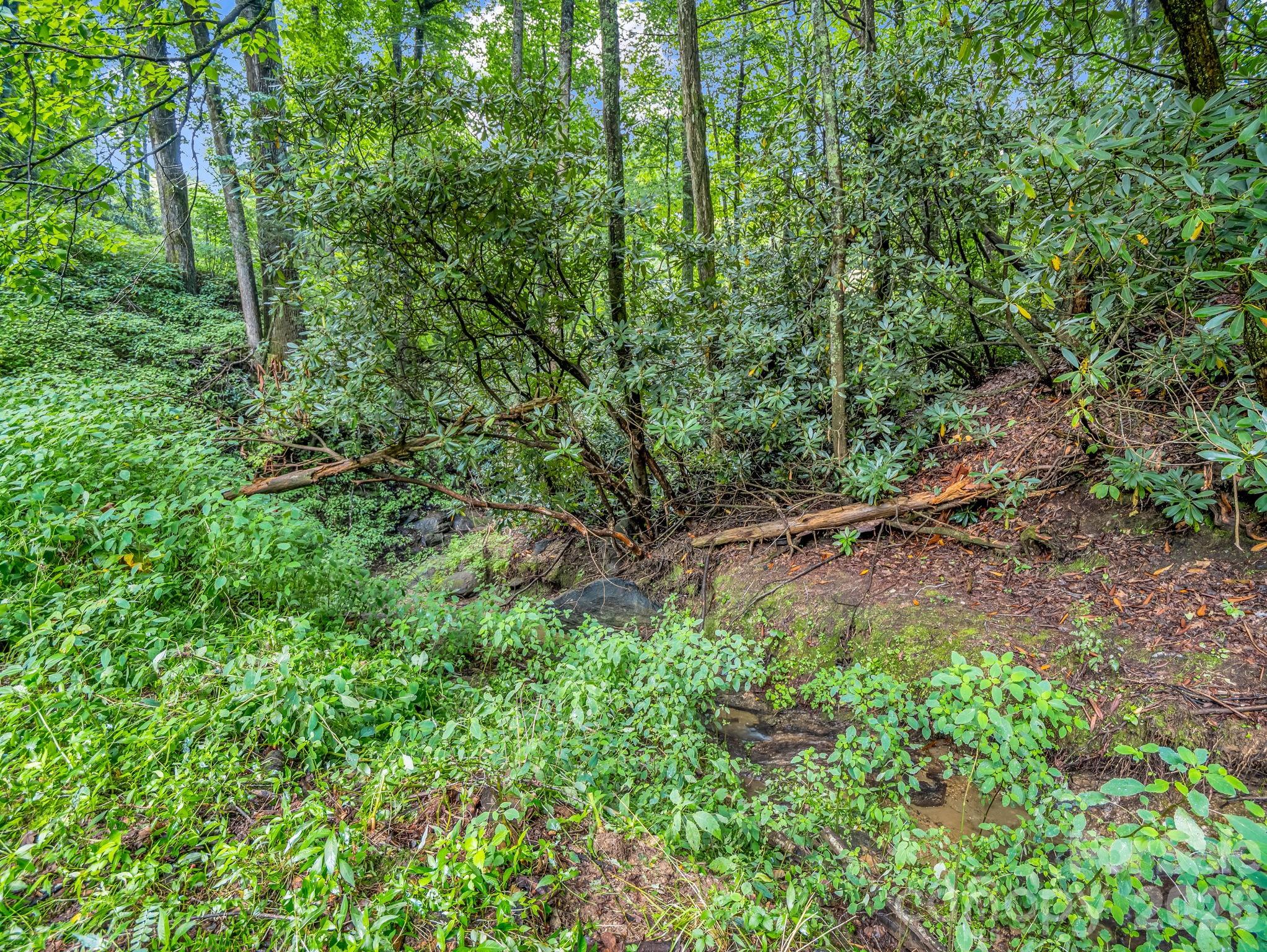 60 Owenby Cove Road Fairview, NC 28730 - Photo 34 of 38 Gallery Image 34