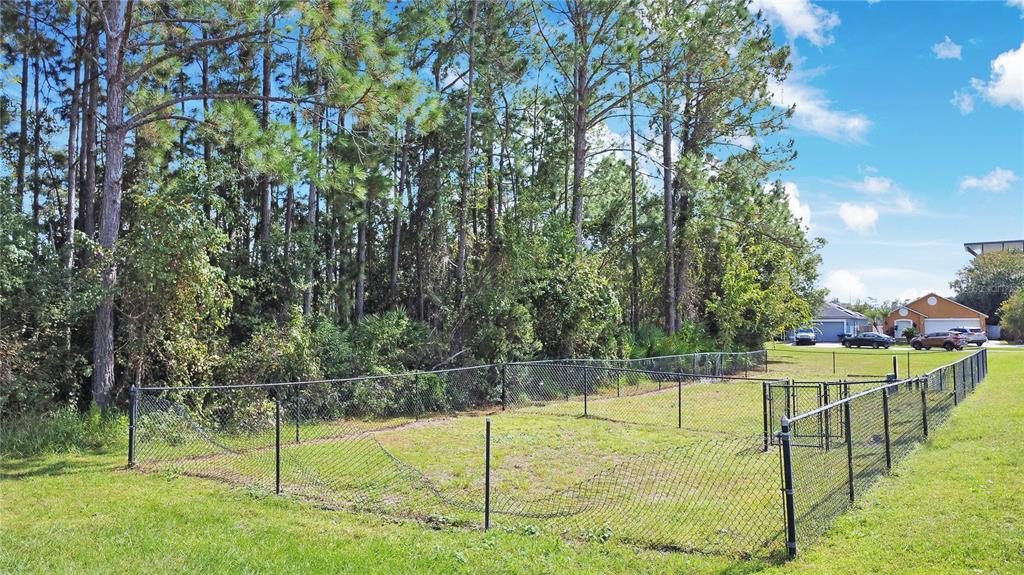 12909 Odyssey Lake Way Orlando, FL 32826 - Photo 23 of 29