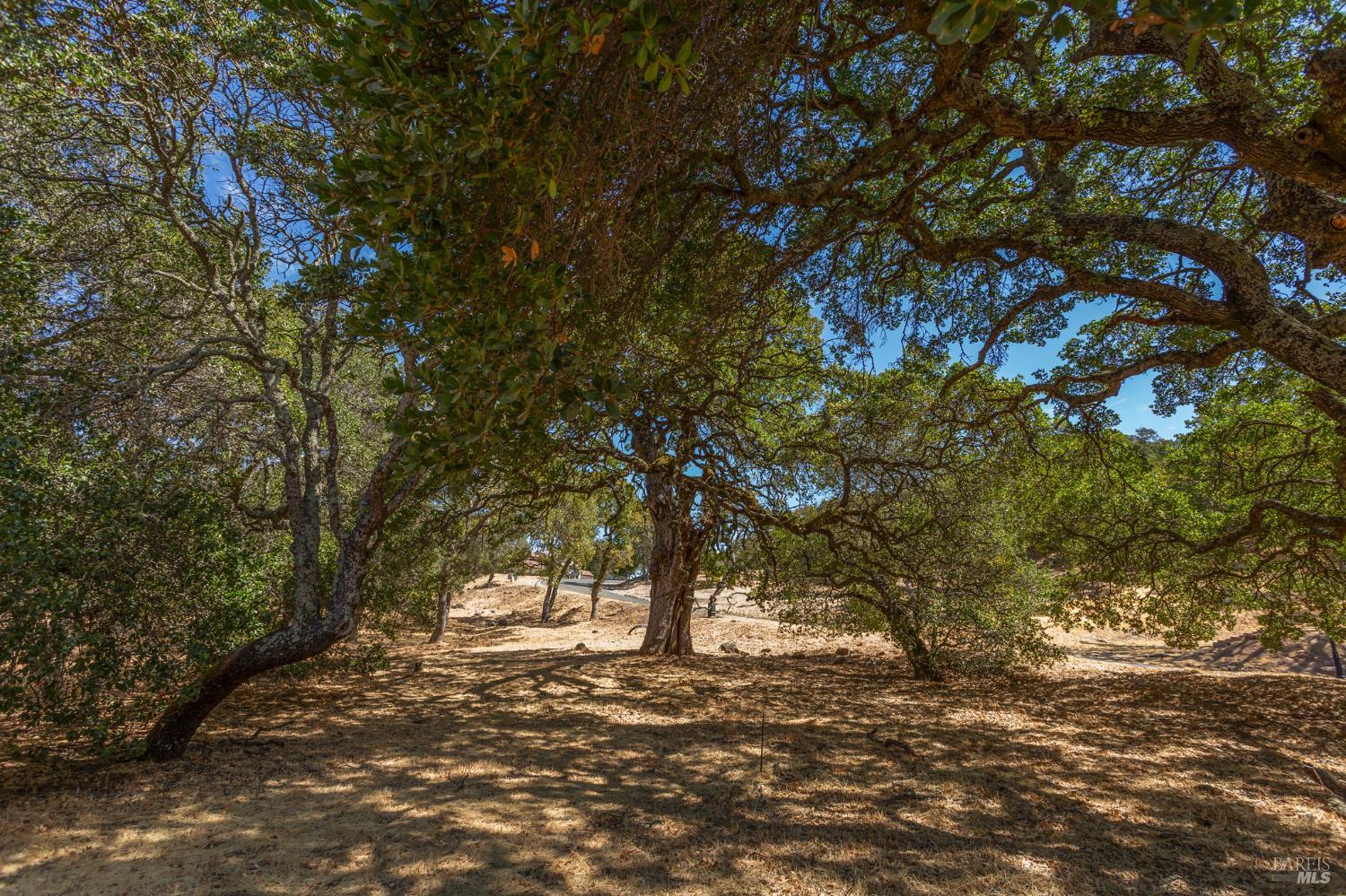 743 Bridle Ridge Court Fairfield, CA 94534 - Photo 56 of 96