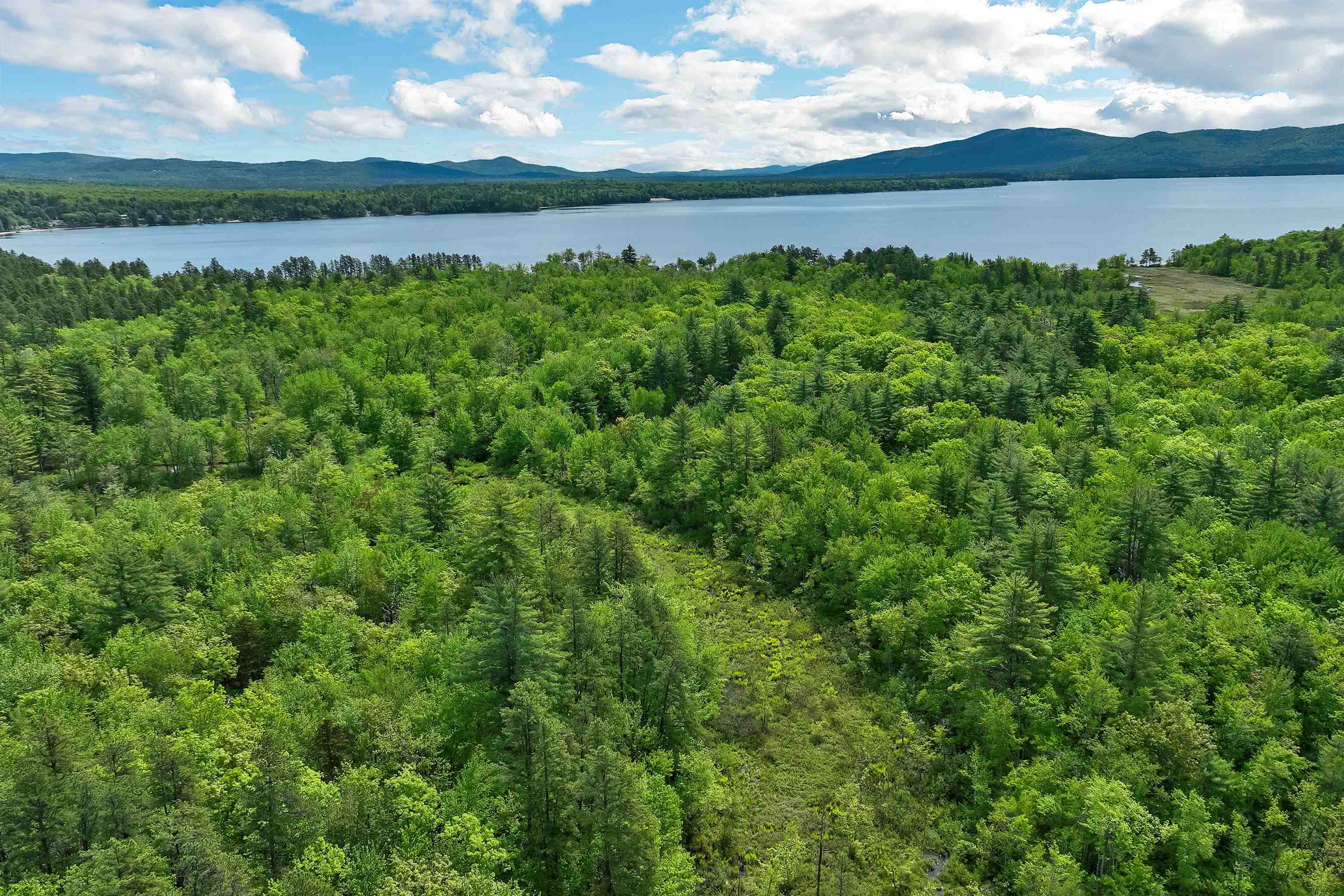 105 Nichols Road Ossipee, NH 03814 - Photo 10 of 54