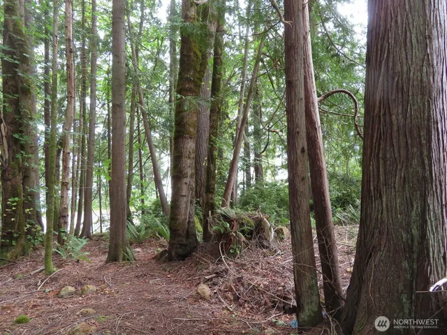 a view of outdoor space and garden