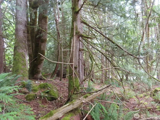 a backyard of a house with lots of green space