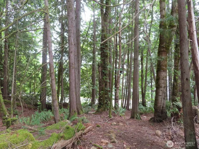 a view of outdoor space and green space