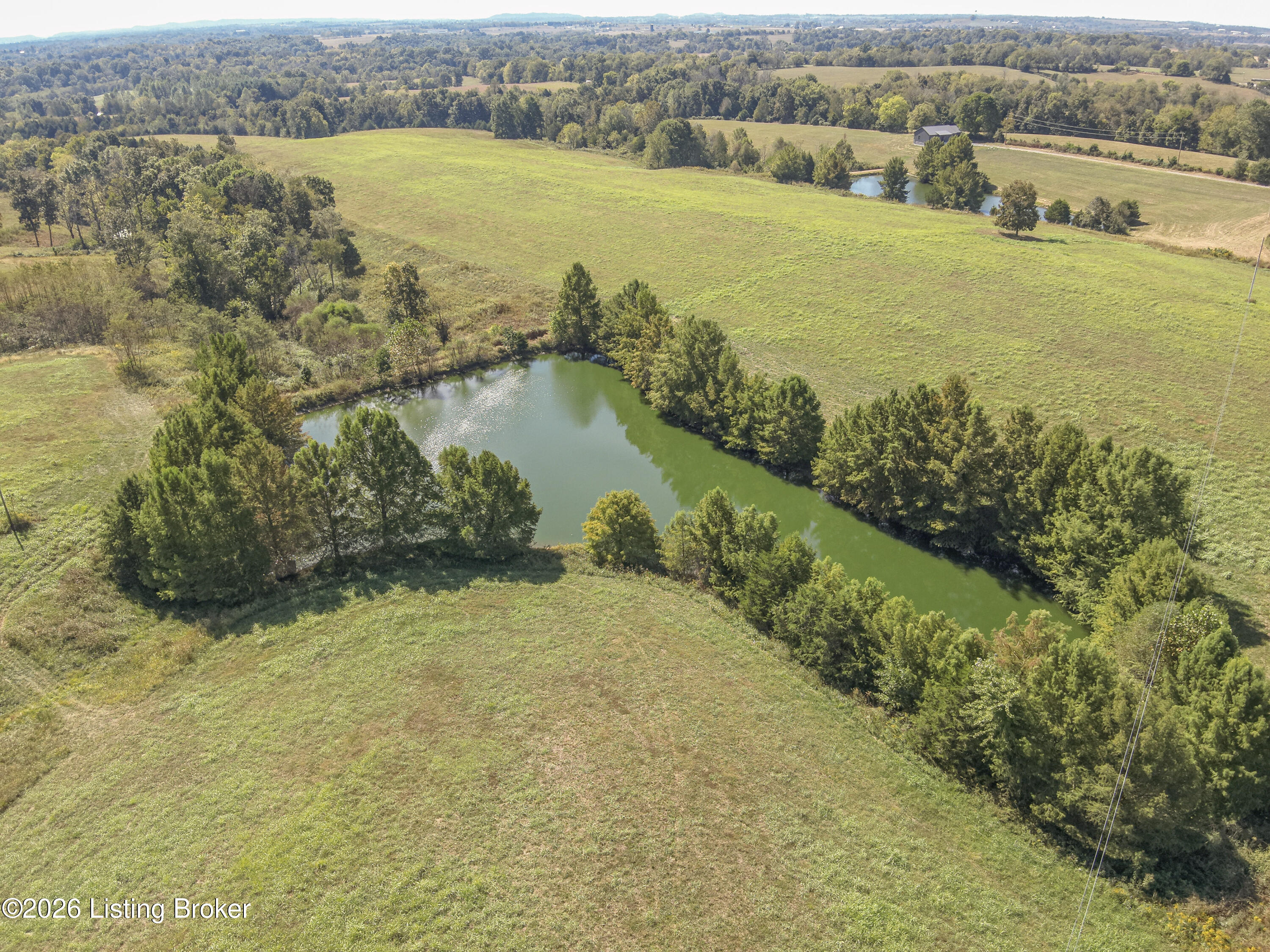 1925 Tick Creek Road Springfield, KY 40069 - Photo 6 of 30 2-DJI_20260930125256_0016_W