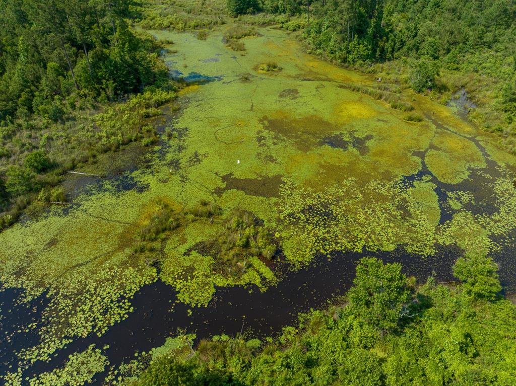 0 Ferguson Road Coushatta, LA 71019 - Photo 12 of 13