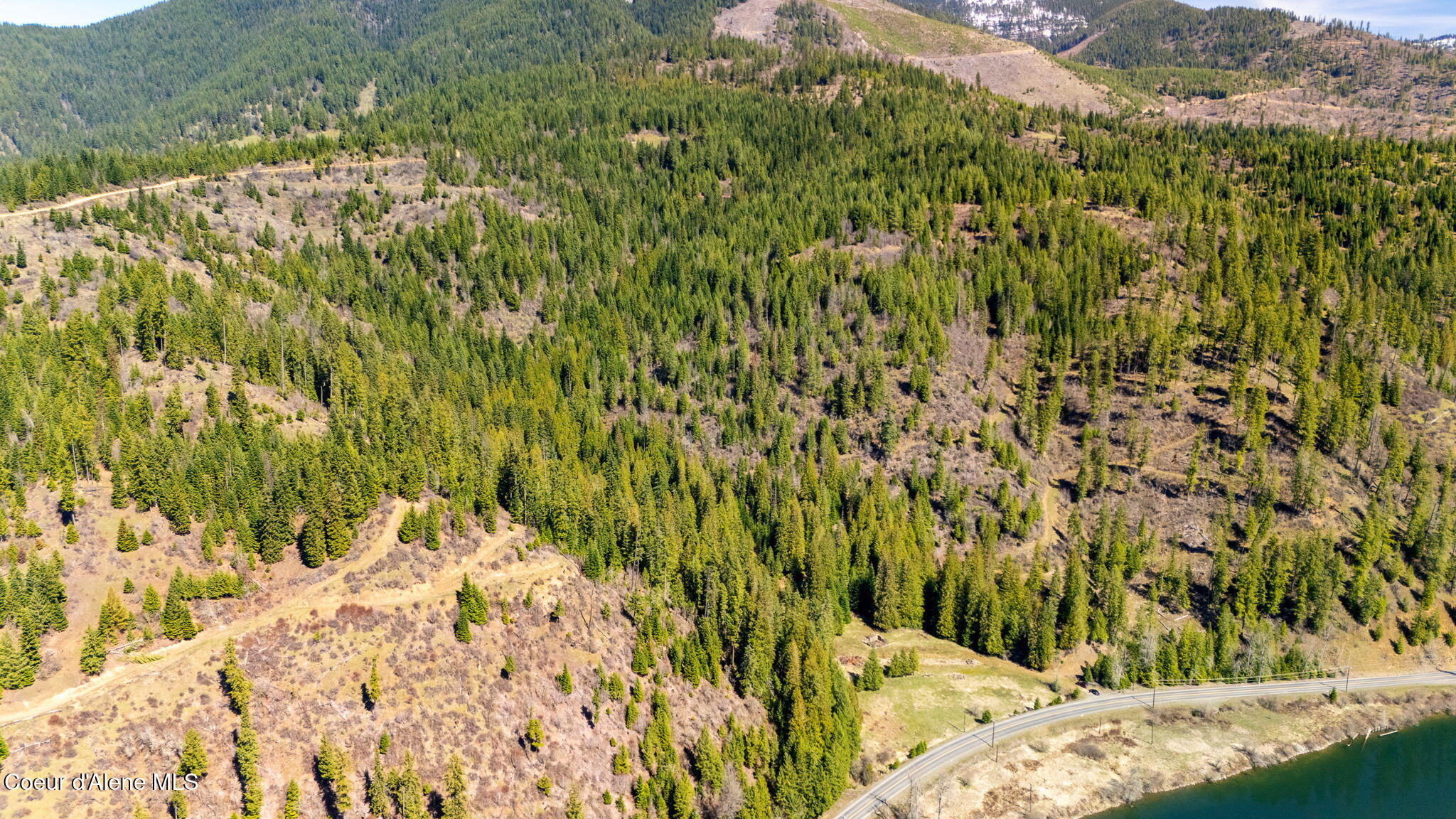 Nka St Joe River Road, Unit 25 St. Maries, ID 83861 - Photo 13 of 19 Cedar and white pine