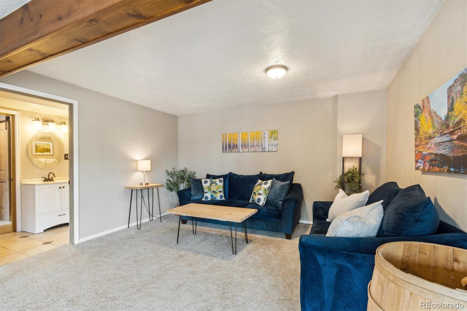 779 Aspen Way Evergreen, CO 80439 - Photo 24 of 49 a living room with furniture and a potted plant