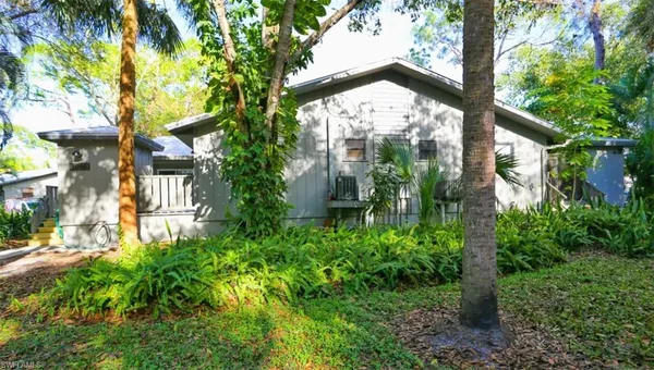 a view of a large tree in front of a house