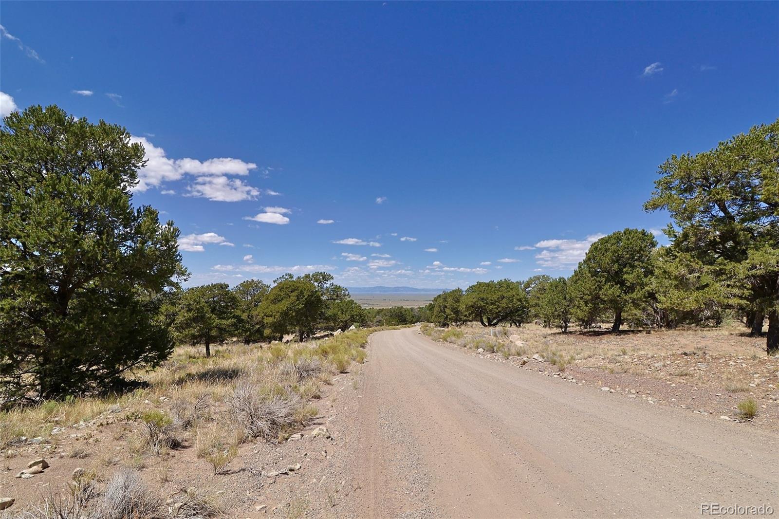 a view of a road with a yard