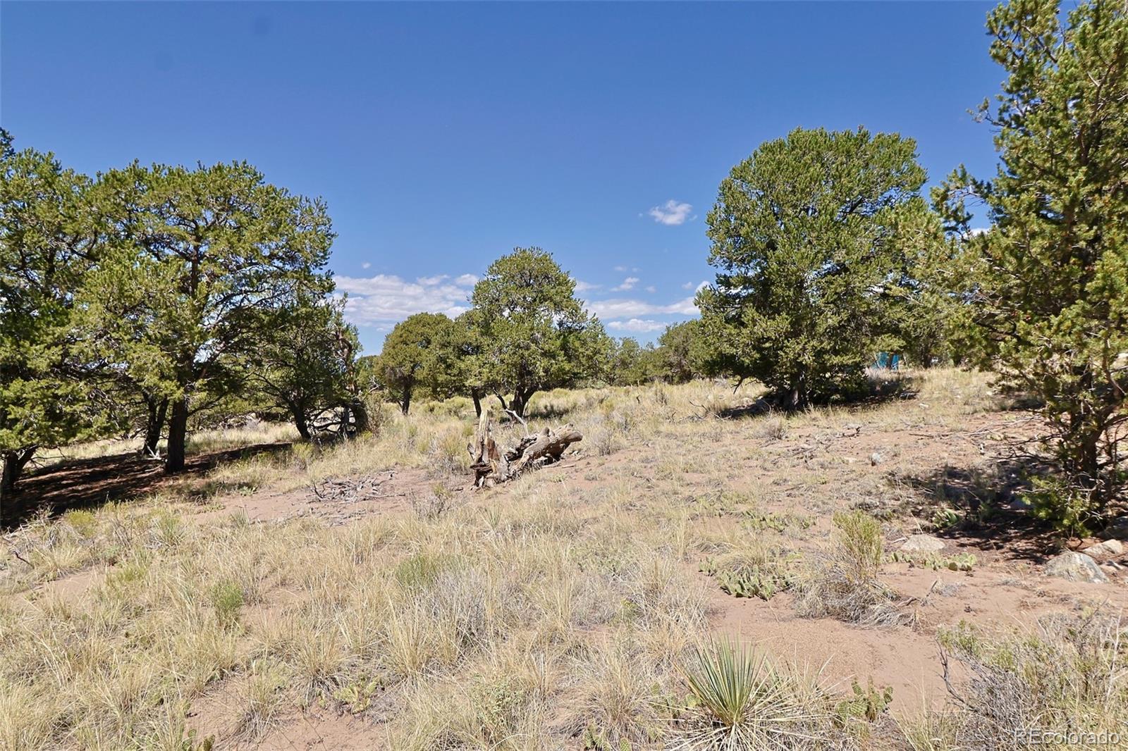 4446 Rarity Way Crestone, CO 81131 - Photo 3 of 8 a view of a covered with snow in the background