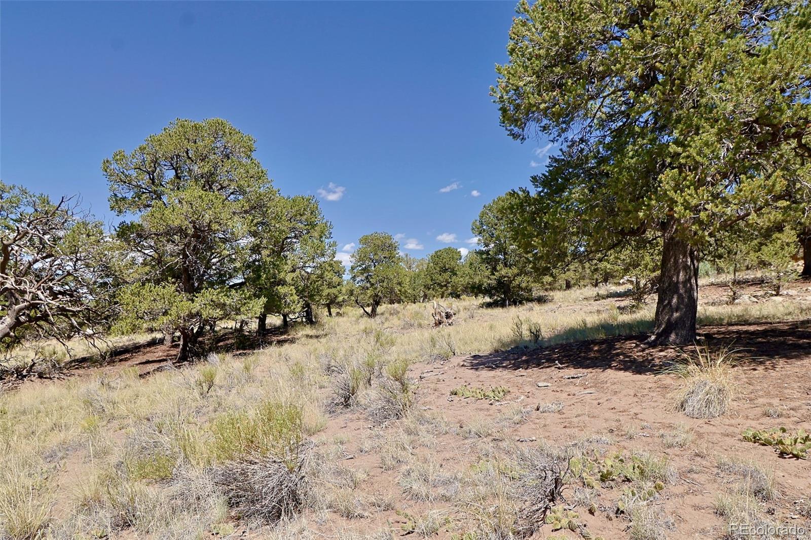4446 Rarity Way Crestone, CO 81131 - Photo 4 of 8