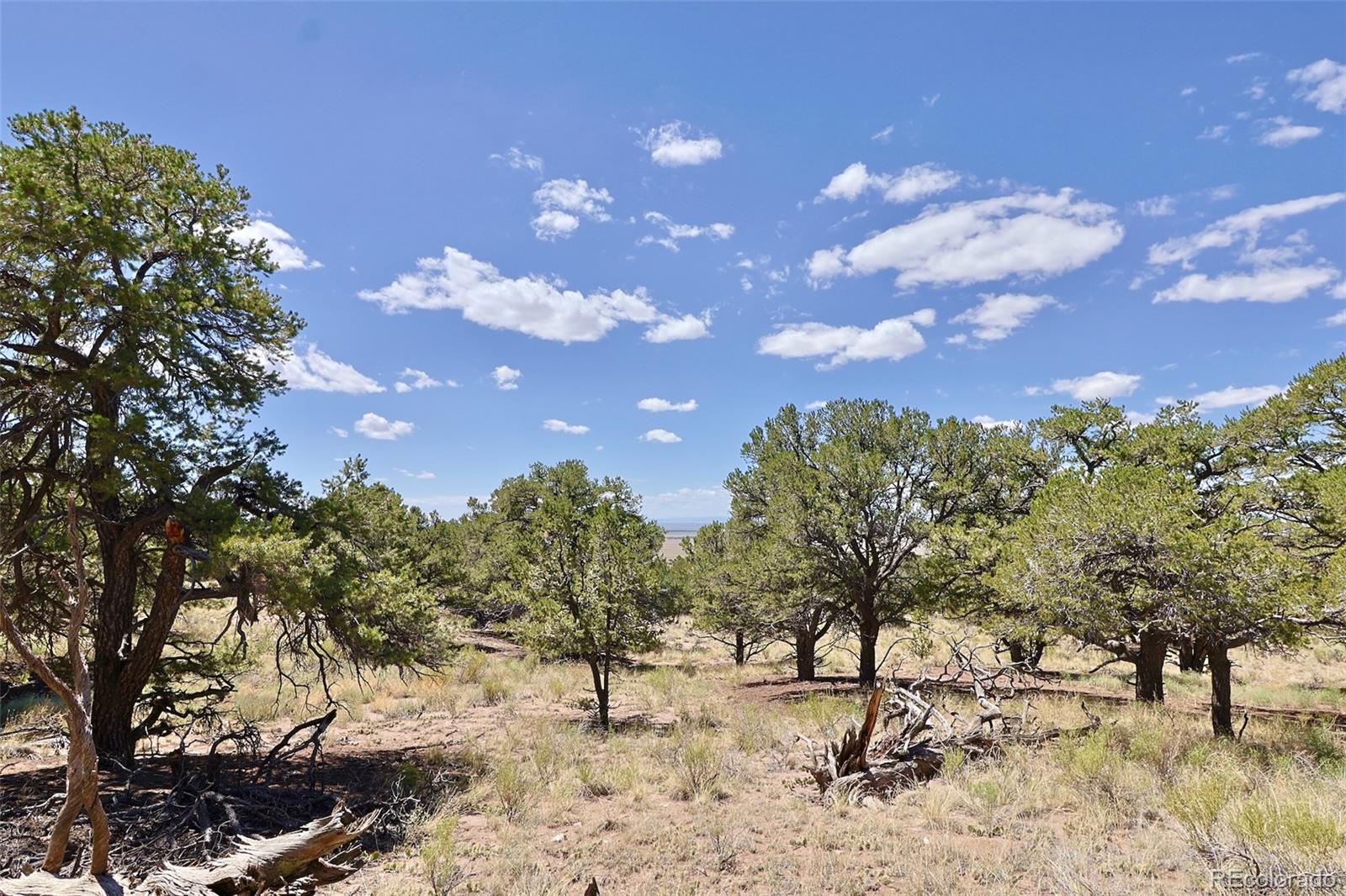 4446 Rarity Way Crestone, CO 81131 - Photo 5 of 8 a view of a yard with mountain