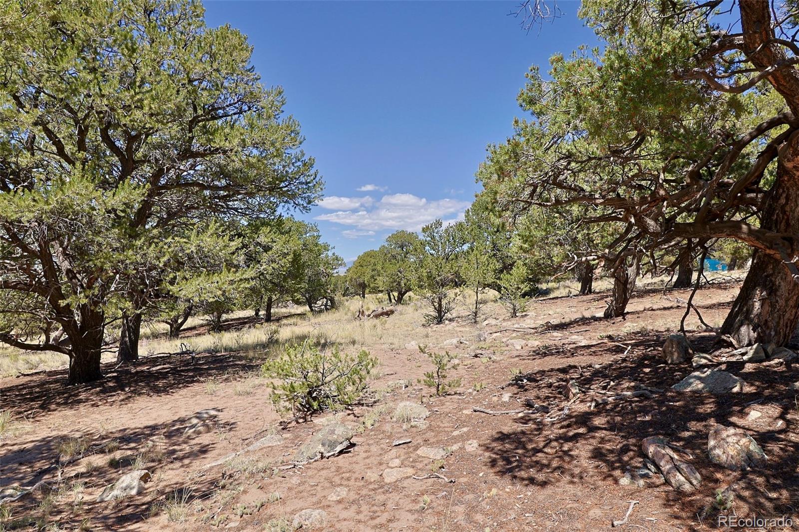 4446 Rarity Way Crestone, CO 81131 - Photo 6 of 8 a view of a road with a tree in the background