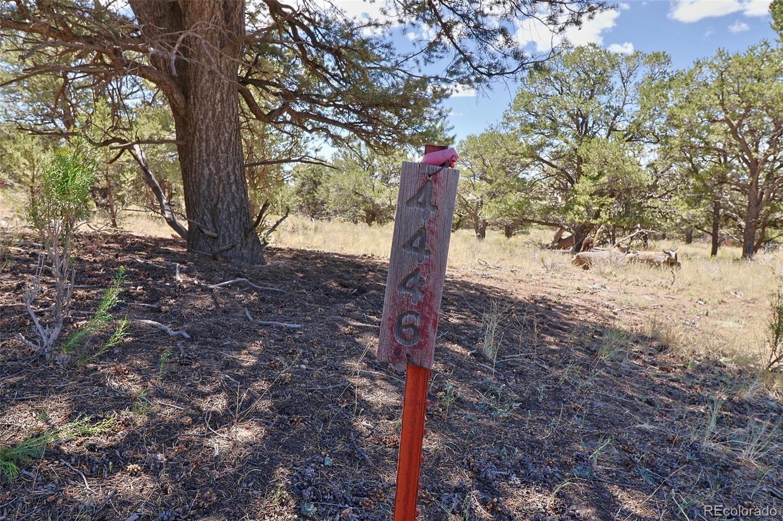 4446 Rarity Way Crestone, CO 81131 - Photo 7 of 8 a view of a tree in the yard