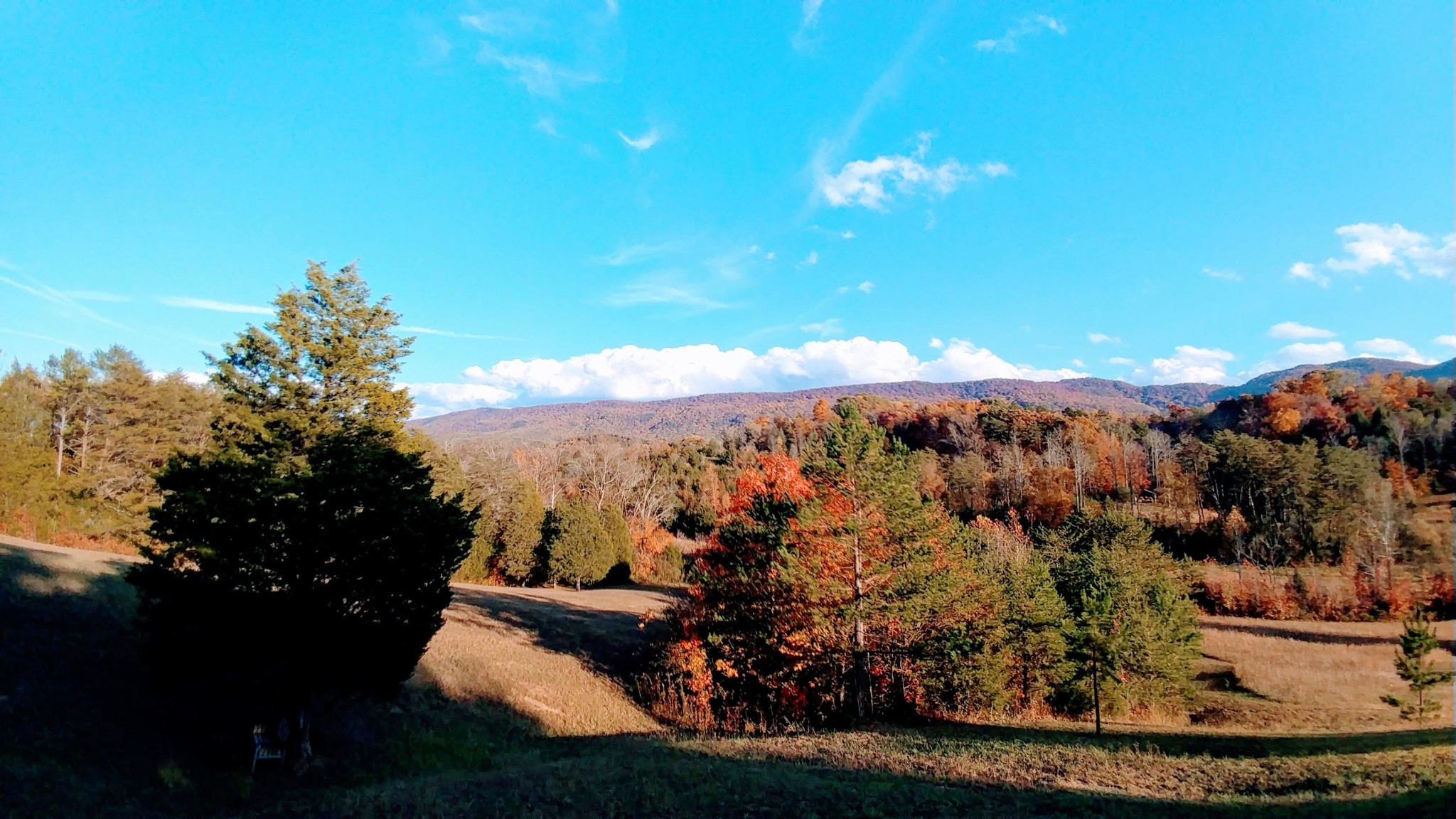 2012 6 Mile Road Maryville, TN 37803 - Photo 19 of 24 Gallery Image 19