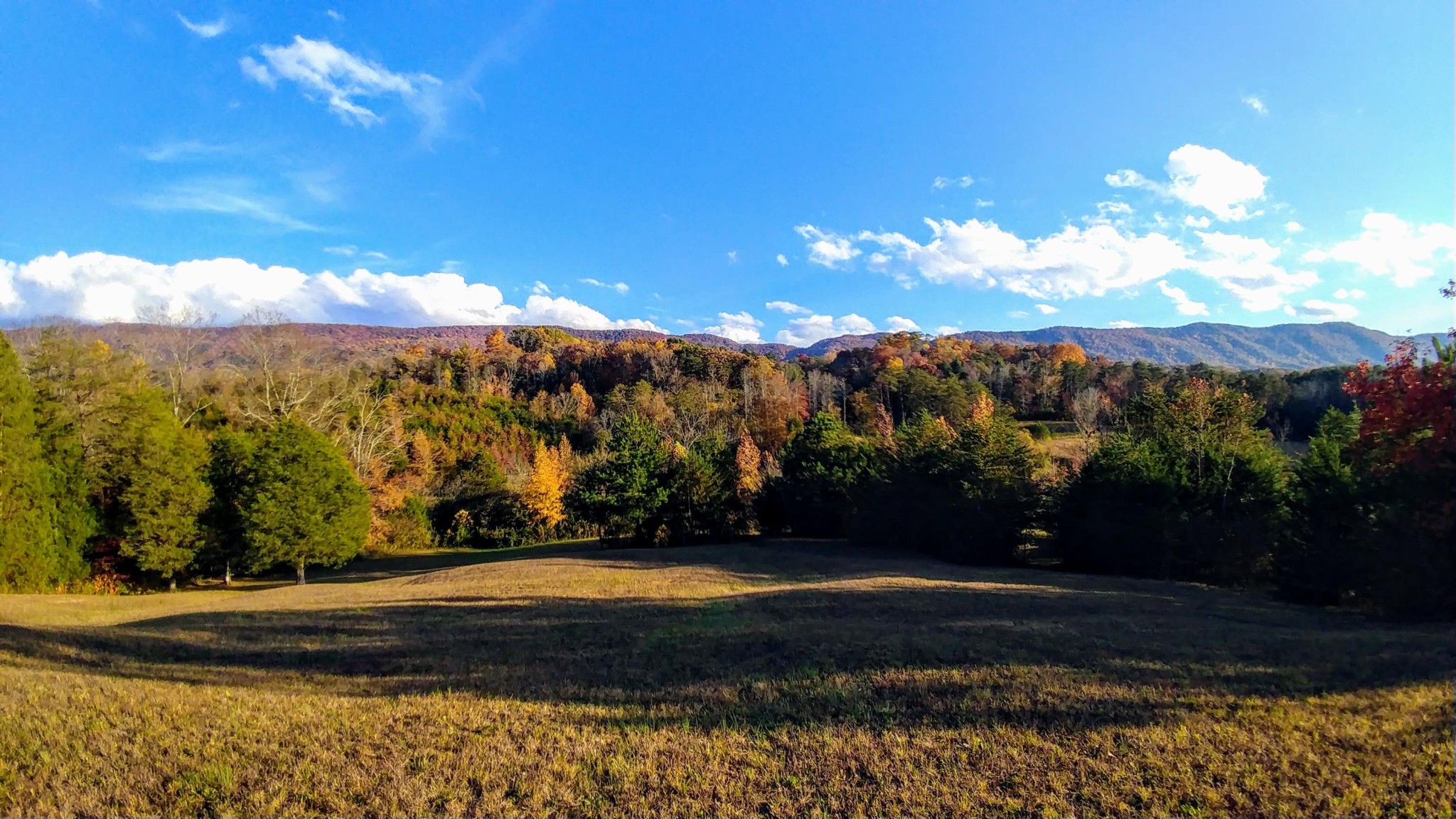 2012 6 Mile Road Maryville, TN 37803 - Photo 20 of 24 Gallery Image 20