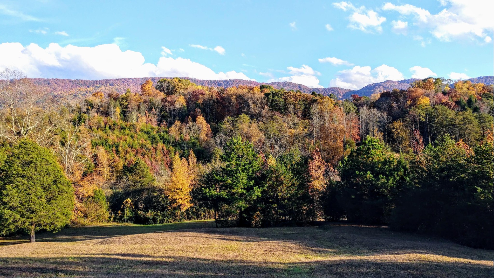 2012 6 Mile Road Maryville, TN 37803 - Photo 21 of 24 Gallery Image 21