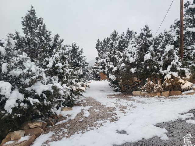 12665 Cedar Ridge Drive, Unit C39 Fairview, UT 84629 - Photo 15 of 15
