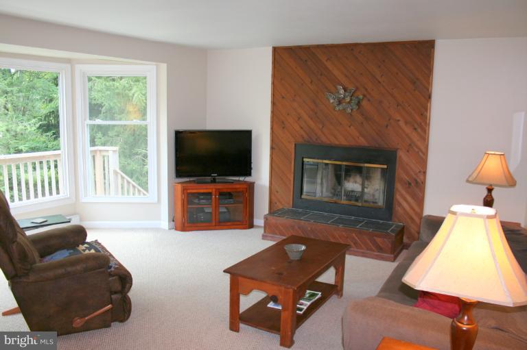 17420 Masemore Road Parkton, MD 21120 - Photo 14 of 21 Living Room w/Wood Burning FP