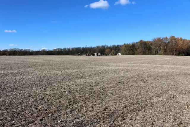$325,000 | 17395 Swisher Hill Road, Dewitt, IL 61735