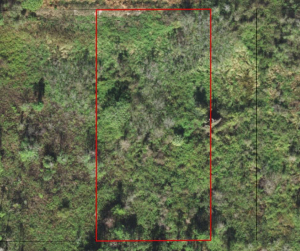 0 Old Polk City Road Haines City, FL 33844 - Photo 2 of 4 Photo 2