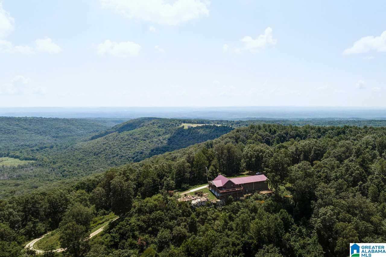 1458 Warnock Peak Road Hayden, AL 35079 - Photo 12 of 50