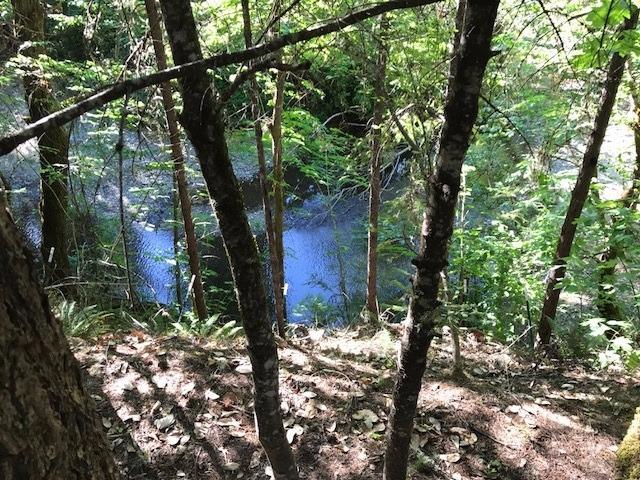 2121 Pleasant Creek Road Rogue River, OR 97537 - Photo 15 of 16 Additional Photo