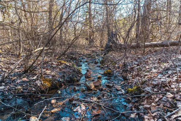 $227,500 | 0 65 Acres M/l Dalton Road, Licking, MO 65542