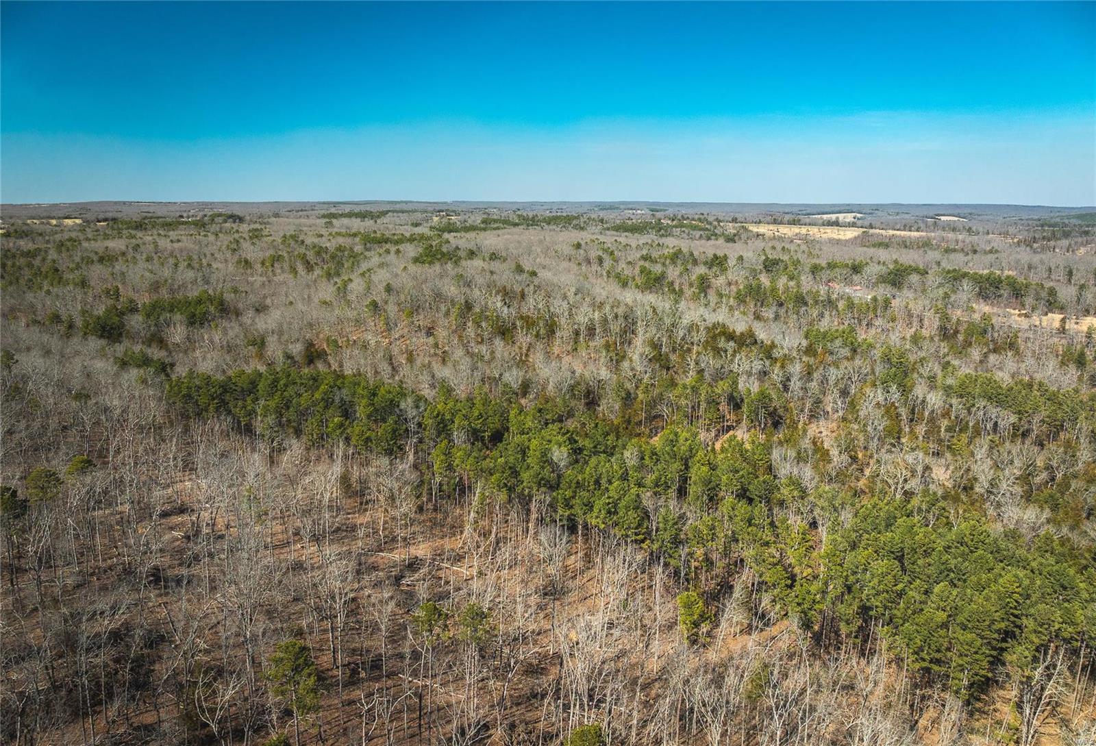 0 65 Acres M/l Dalton Road Licking, MO 65542 - Photo 12 of 30