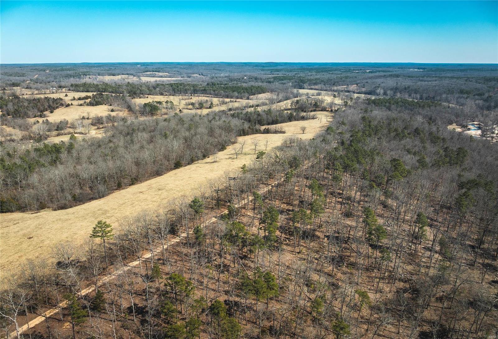 0 65 Acres M/l Dalton Road Licking, MO 65542 - Photo 14 of 30