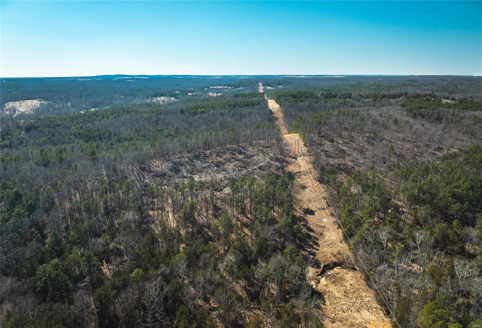 0 65 Acres M/l Dalton Road Licking, MO 65542 - Photo 15 of 30