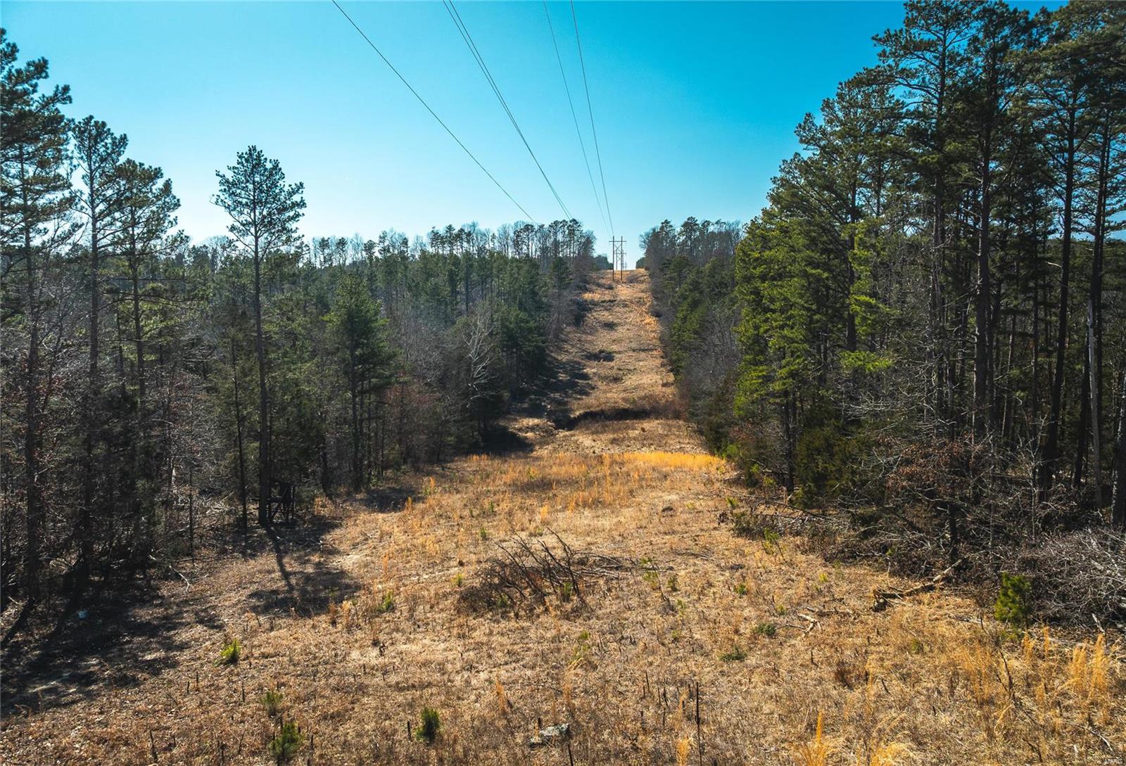 0 65 Acres M/l Dalton Road Licking, MO 65542 - Photo 19 of 30