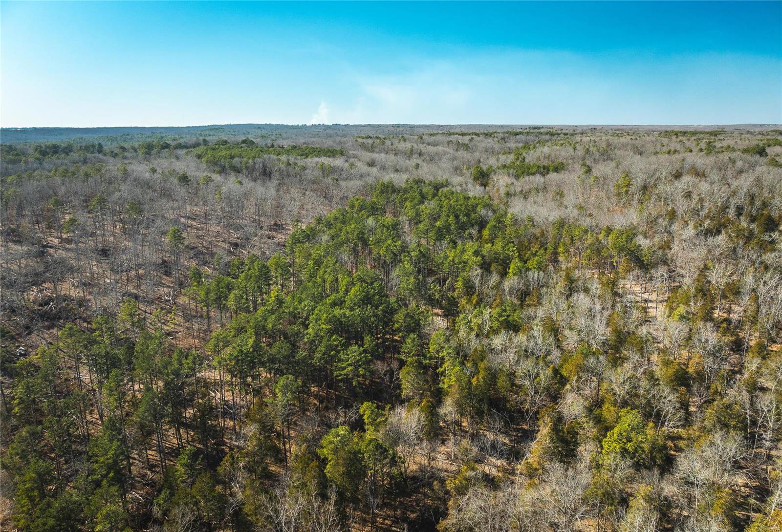 0 65 Acres M/l Dalton Road Licking, MO 65542 - Photo 20 of 30