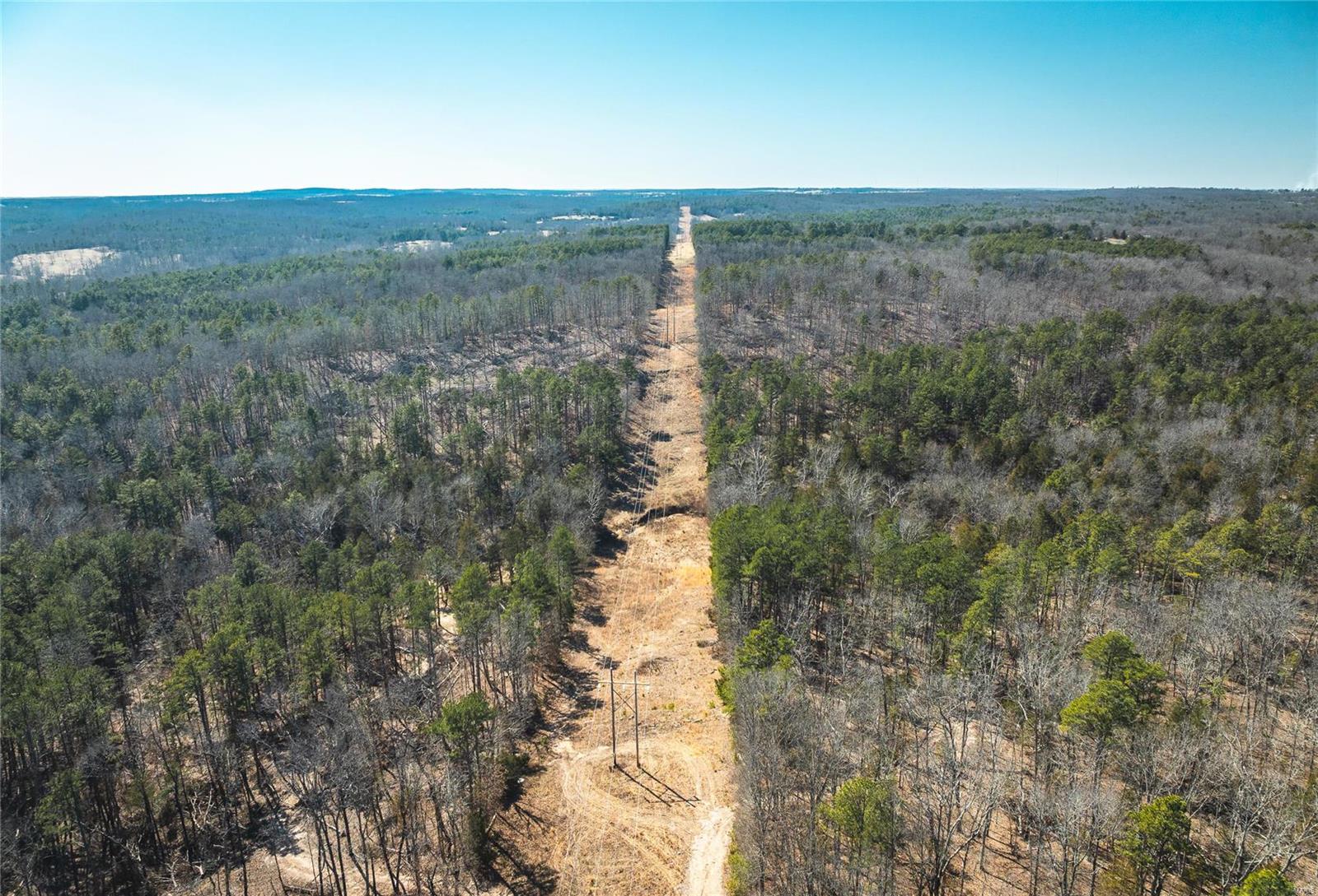 0 65 Acres M/l Dalton Road Licking, MO 65542 - Photo 2 of 30