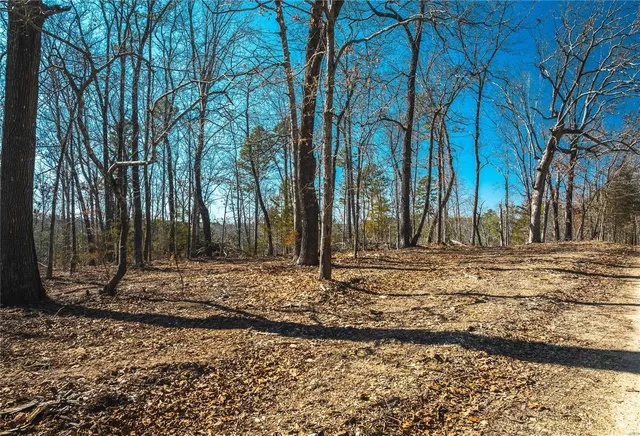 $227,500 | 0 65 Acres M/l Dalton Road, Licking, MO 65542