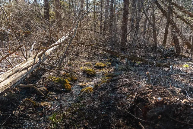 $227,500 | 0 65 Acres M/l Dalton Road, Licking, MO 65542