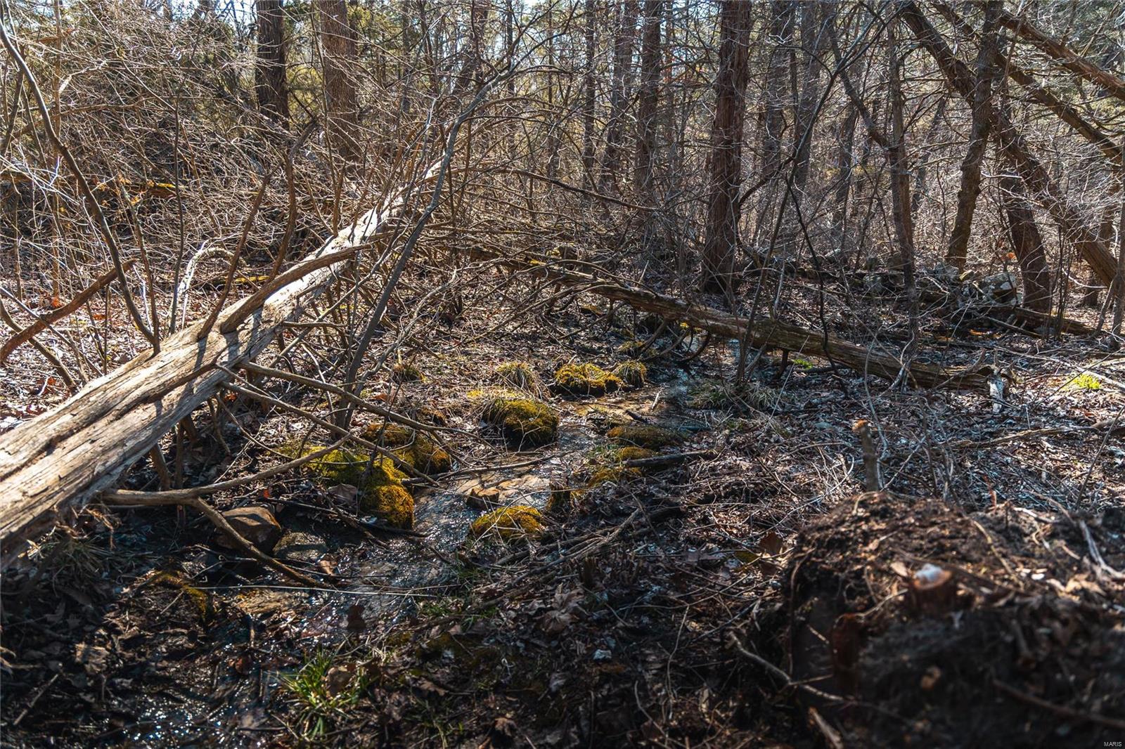 0 65 Acres M/l Dalton Road Licking, MO 65542 - Photo 23 of 30